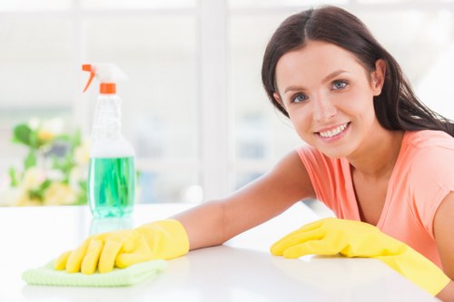 Harringay carpet cleaners working on a local home carpet