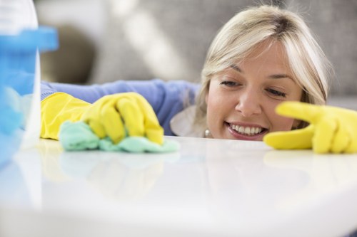 Different carpet types being treated with steam cleaning in Harringay