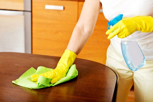Pet odour neutralisation service for a Harringay home